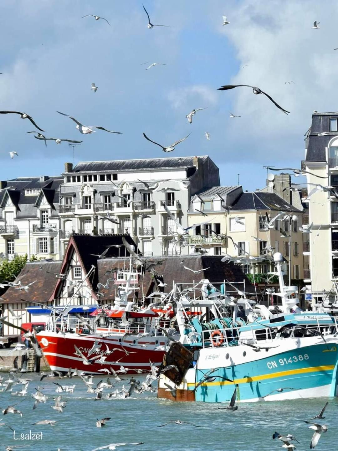 Studio De Charme A Trouville Sur Mer. Екстер'єр фото